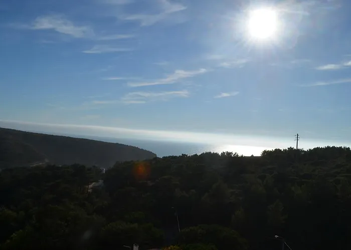 Coral Daire Ericeira