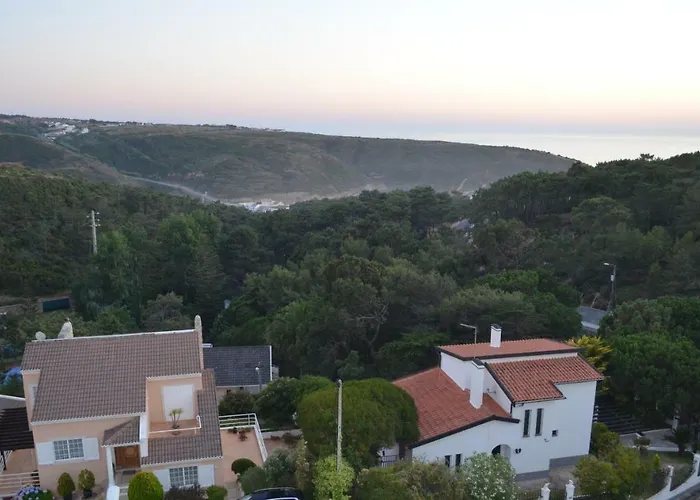 Coral Daire Ericeira