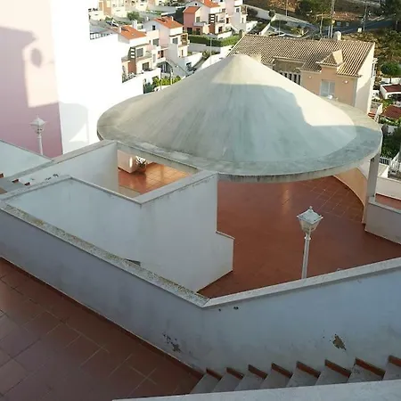 Coral * エリセイラ