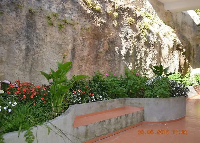 Coral エリセイラ